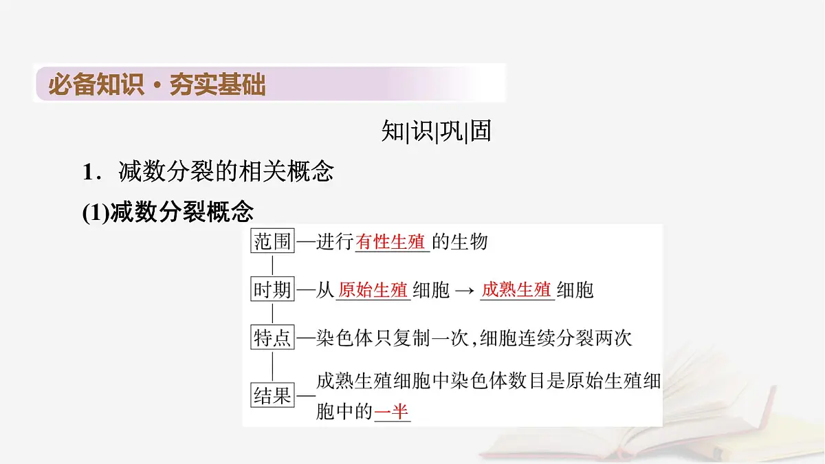 2026届高考生物一轮总复习必修1第4单元细胞的生命历程第2讲细胞的减数分裂和受精作用课件第6页