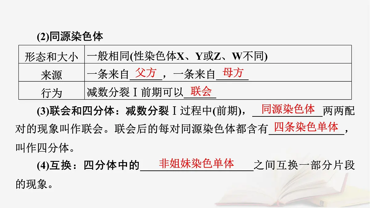 2026届高考生物一轮总复习必修1第4单元细胞的生命历程第2讲细胞的减数分裂和受精作用课件第7页