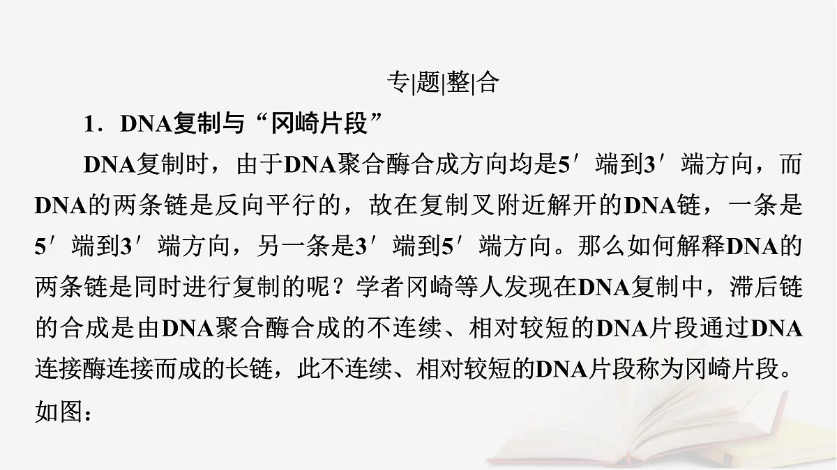2026届高考生物一轮总复习必修2微专题9冈崎片段和基因表达的调控课件第2页