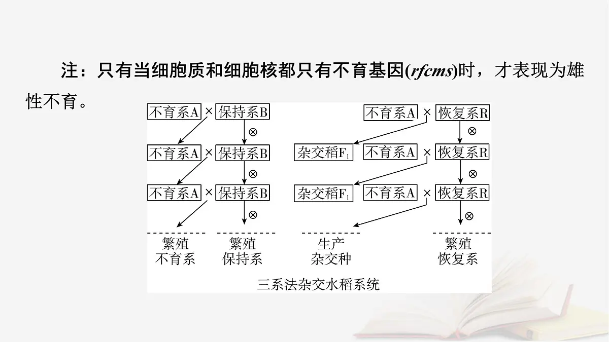 2026届高考生物一轮总复习必修2热点拓展3雄性不育与三系法两系法杂交育种课件第3页