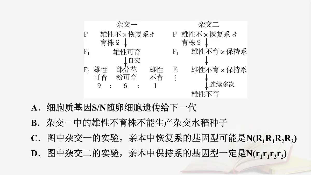 2026届高考生物一轮总复习必修2热点拓展3雄性不育与三系法两系法杂交育种课件第7页