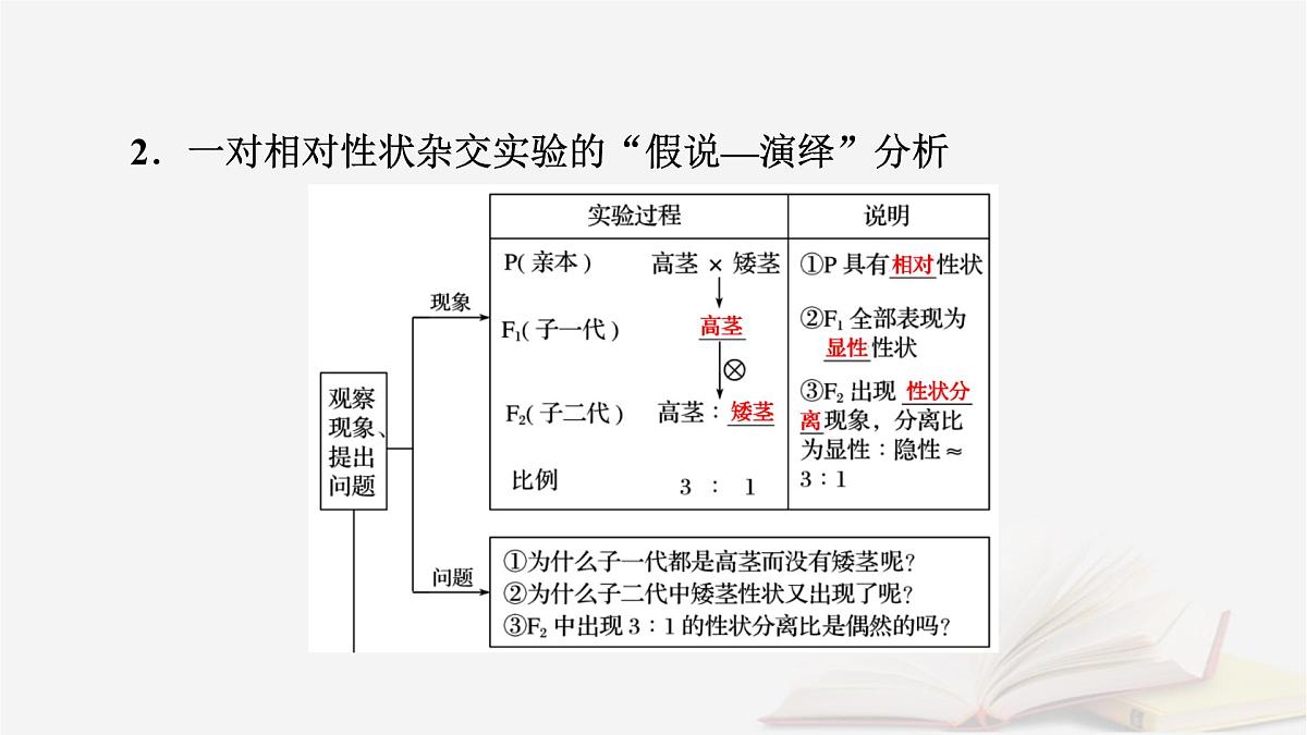 2026届高考生物一轮总复习必修2第5单元孟德尔定律和伴性遗传第1讲基因的分离定律课件第8页