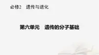 2026届高考生物一轮总复习必修2第6单元遗传的分子基础第3讲基因的表达课件