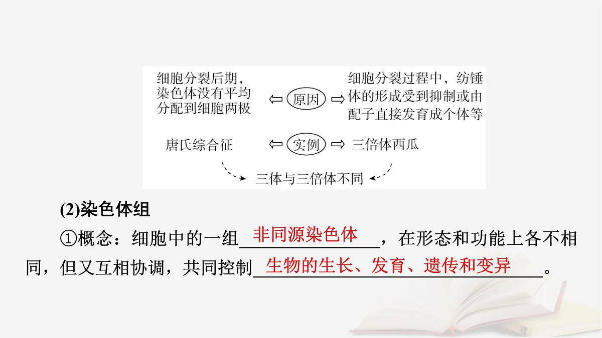 2026届高考生物一轮总复习必修2第7单元生物的变异育种与进化第2讲染色体变异及其应用课件第8页