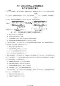 2023-2025北京高三二模[高考模拟]生物汇编：基因突变和基因重组
