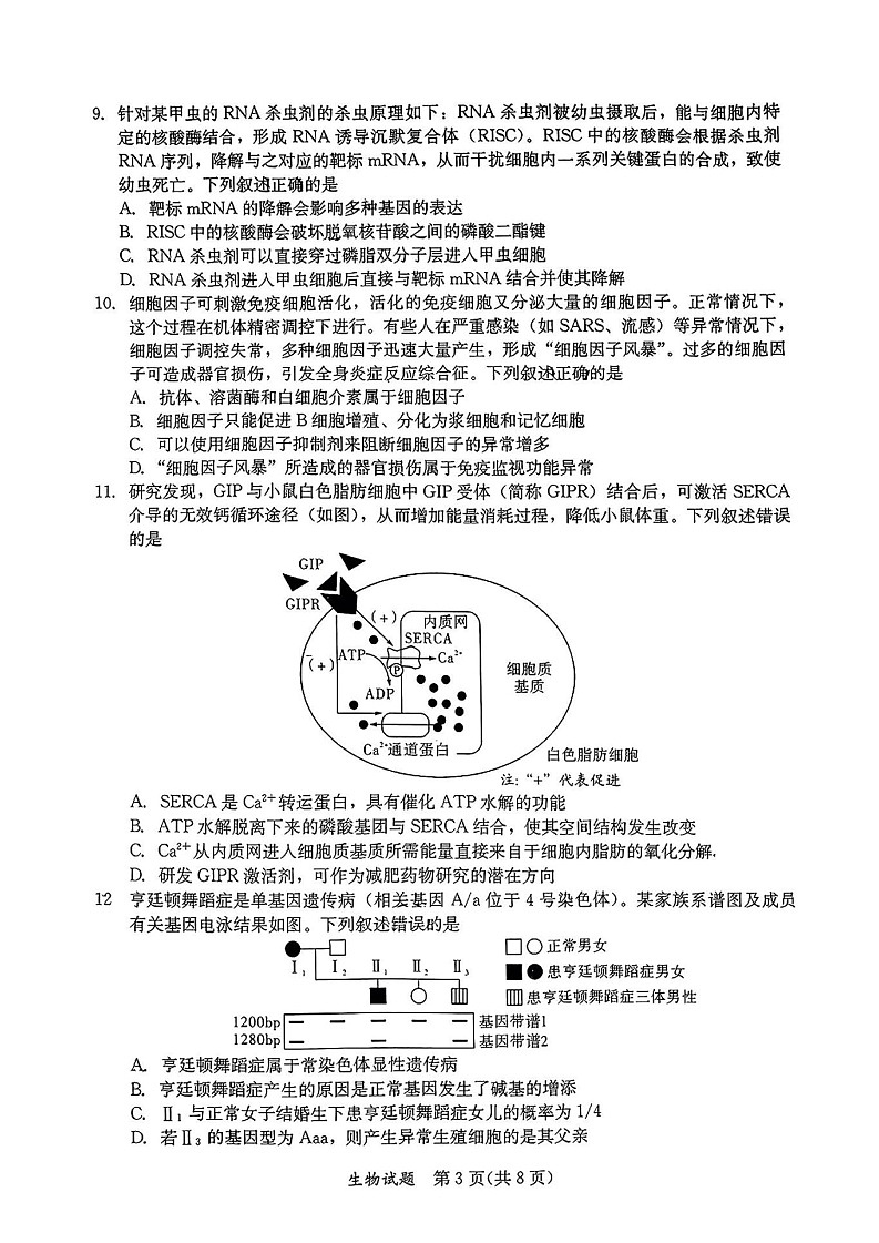 福建省全国名校联盟2025届高三下学期2月大联考-生物试卷(含答案)第3页