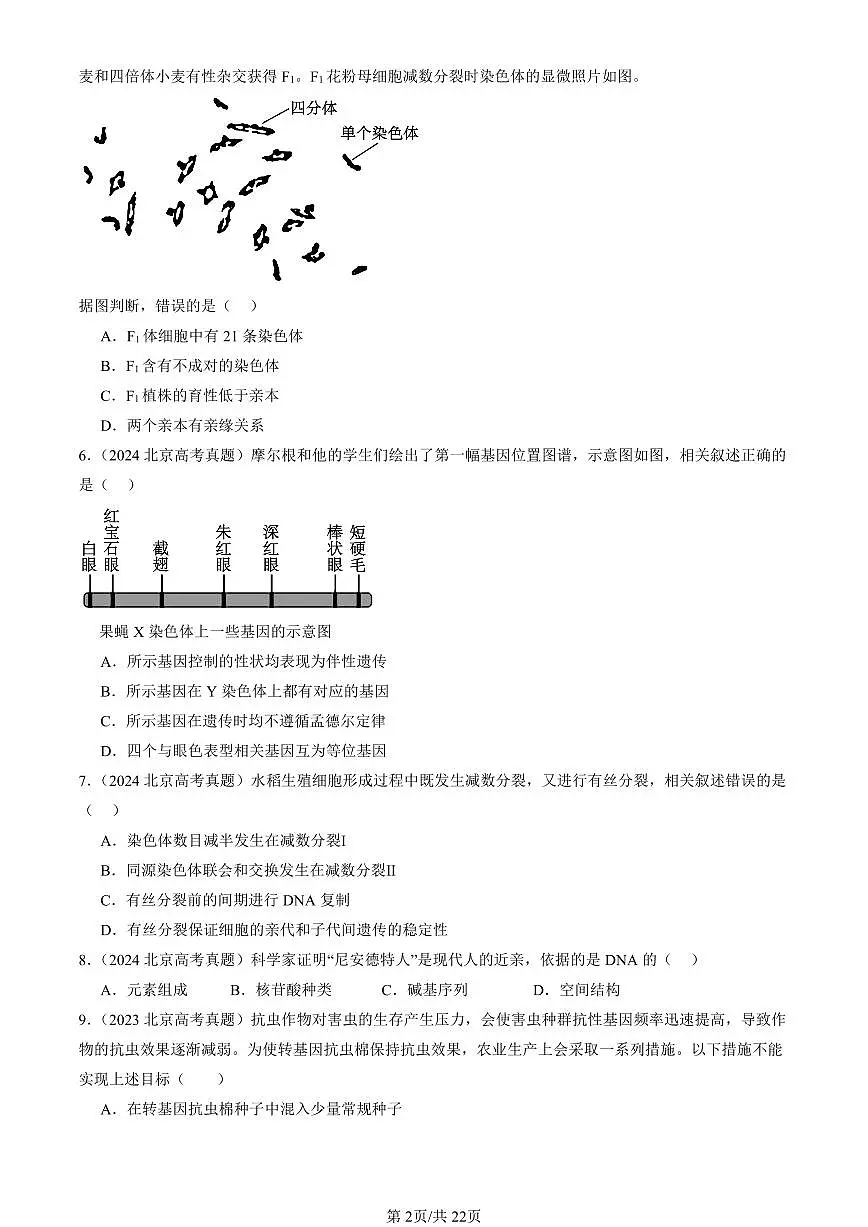 2023-2025北京高考真题生物汇编:遗传与进化 有答案解析第2页