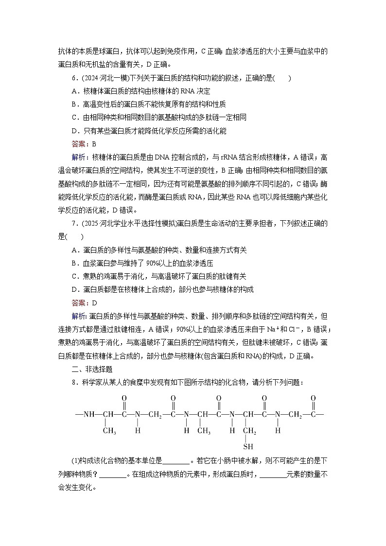 2026届高考生物一轮总复习提能训练练案3蛋白质是生命活动的主要承担者第3页