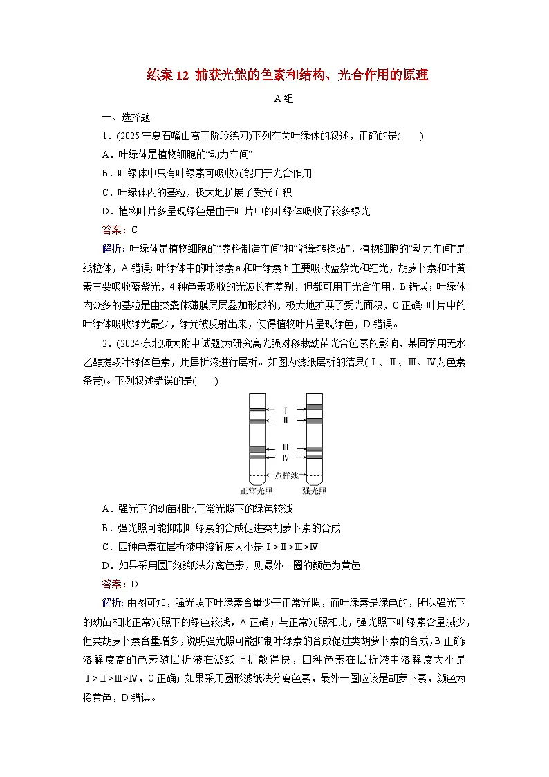 2026届高考生物一轮总复习提能训练练案12捕获光能的色素和结构光合作用的原理第1页