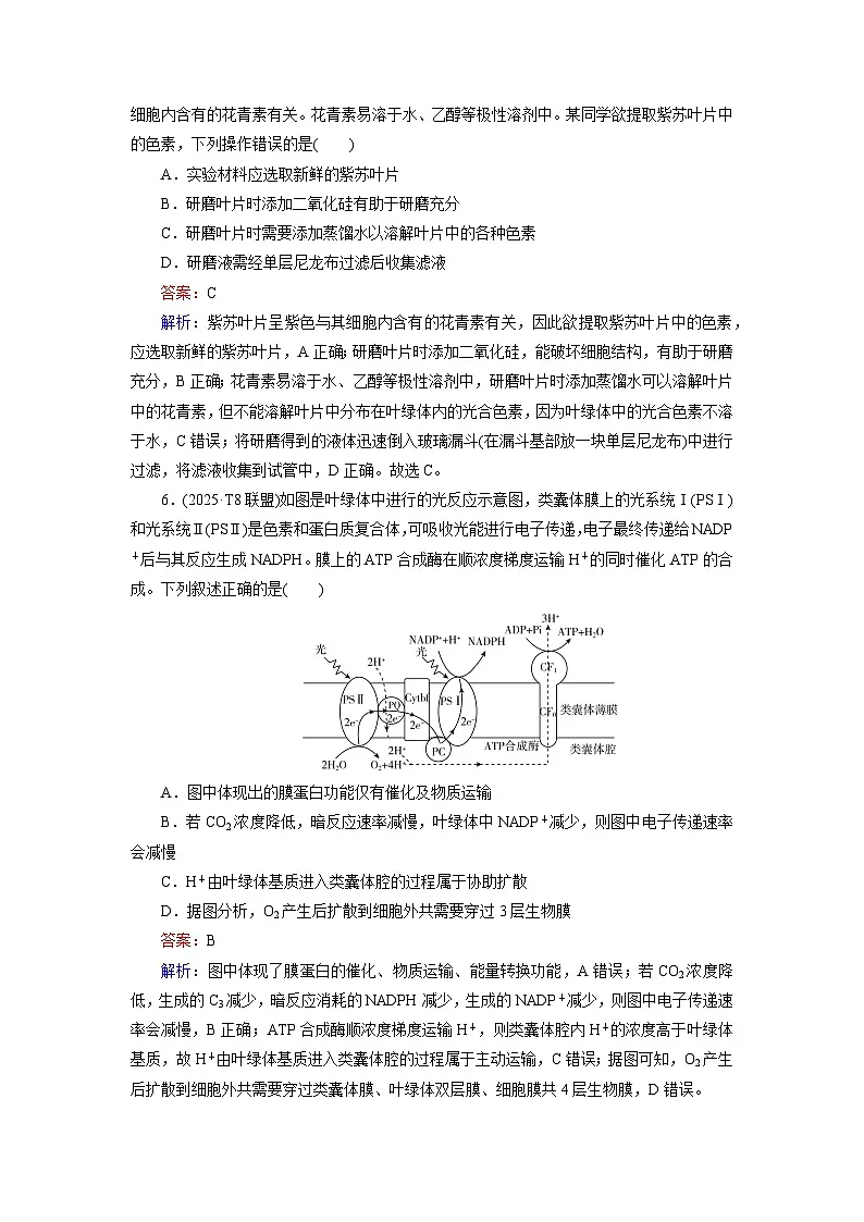 2026届高考生物一轮总复习提能训练练案12捕获光能的色素和结构光合作用的原理第3页