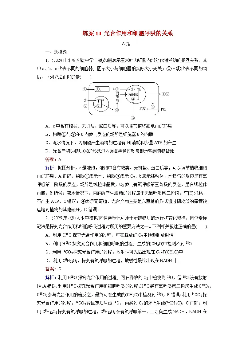 2026届高考生物一轮总复习提能训练练案14光合作用和细胞呼吸的关系第1页