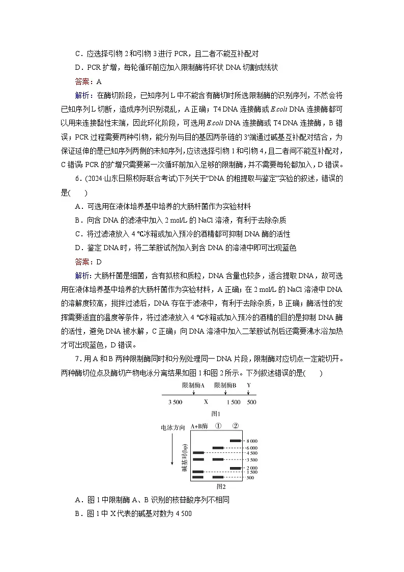 2026届高考生物一轮总复习提能训练练案45基因工程的基本工具和基本操作程序第3页