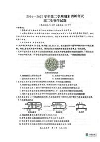 河南省开封市2024-2025学年高二下学期期末调研考试生物试卷+答案含答案解析