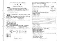 河南省新乡市2024-2025学年下学期高一期末考试生物含答案解析