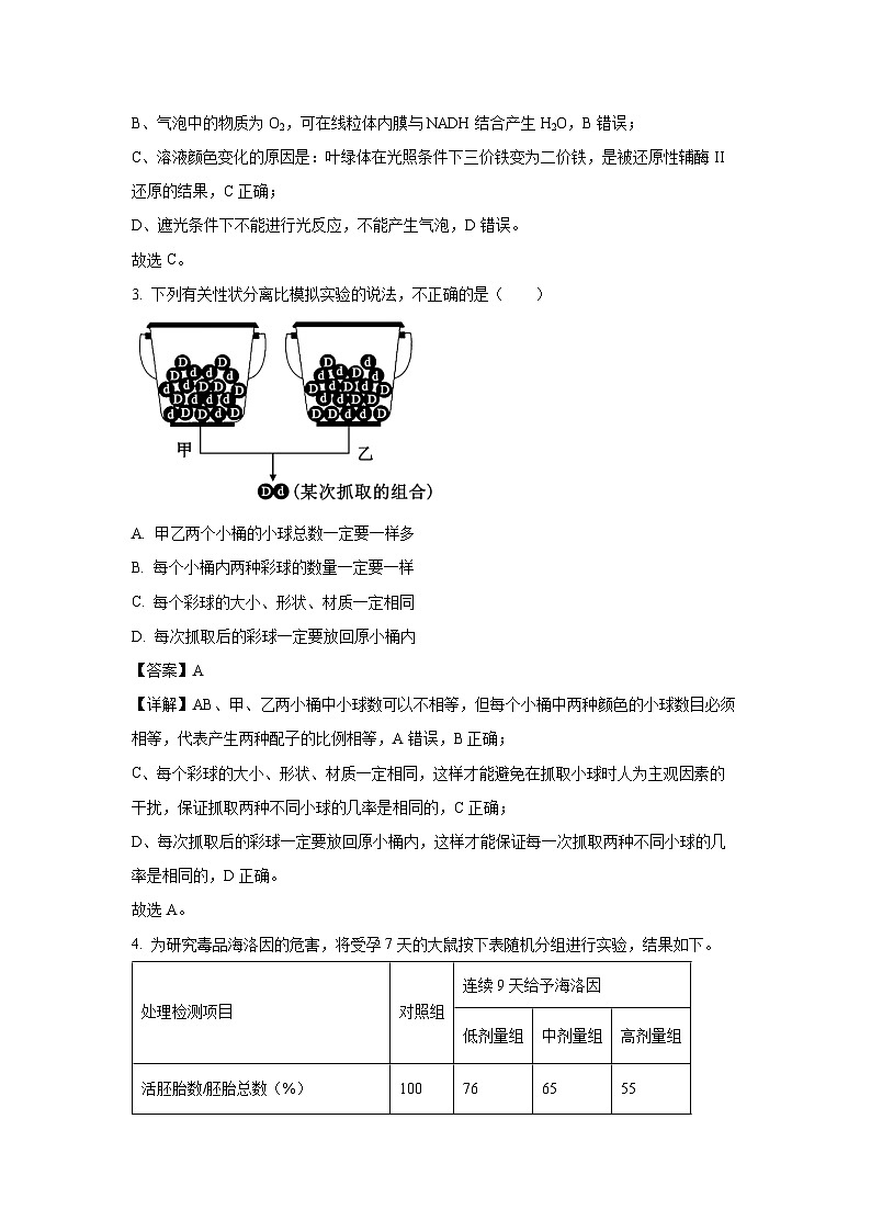【生物】福建省宁德市福宁古五校联合体2023-2024学年高一下学期4月期中试题(解析版)第2页