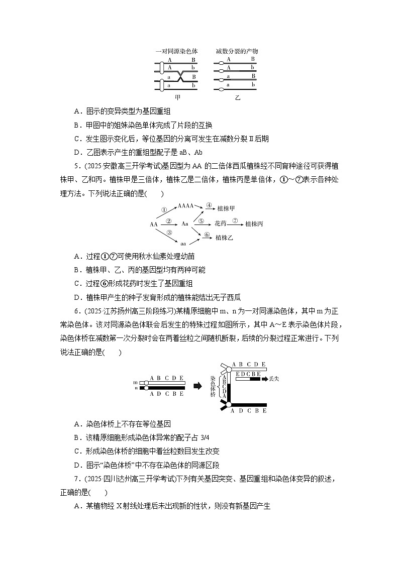 2026届高考生物一轮总复习提能训练练案26染色体变异及其应用第2页