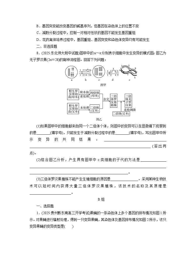 2026届高考生物一轮总复习提能训练练案26染色体变异及其应用第3页