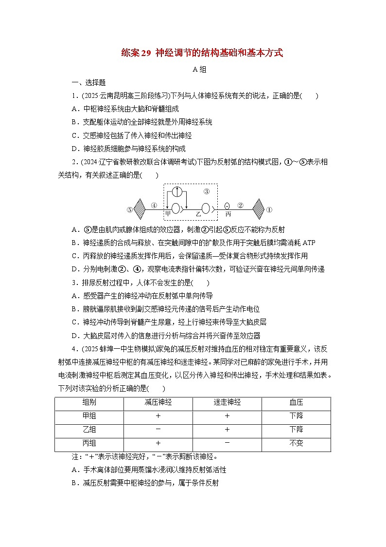 2026届高考生物一轮总复习提能训练练案29神经调节的结构基础和基本方式第1页