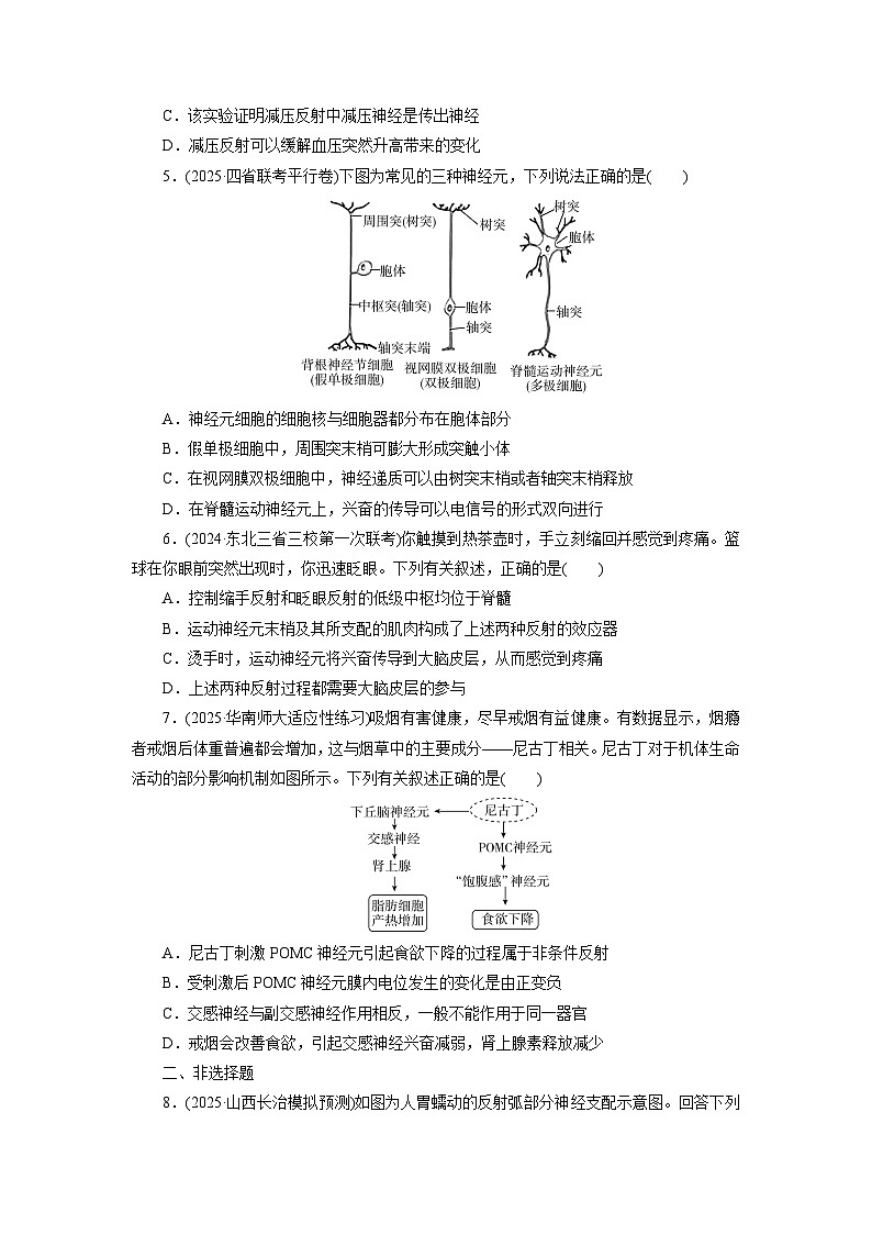 2026届高考生物一轮总复习提能训练练案29神经调节的结构基础和基本方式第2页