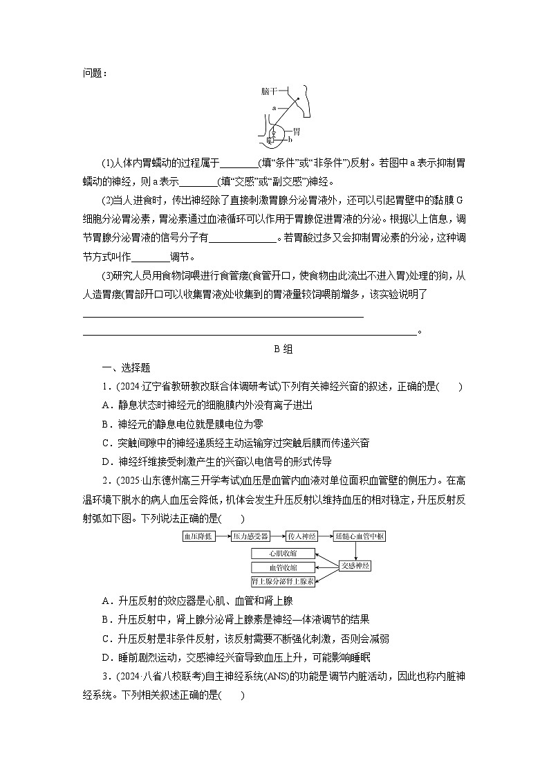 2026届高考生物一轮总复习提能训练练案29神经调节的结构基础和基本方式第3页