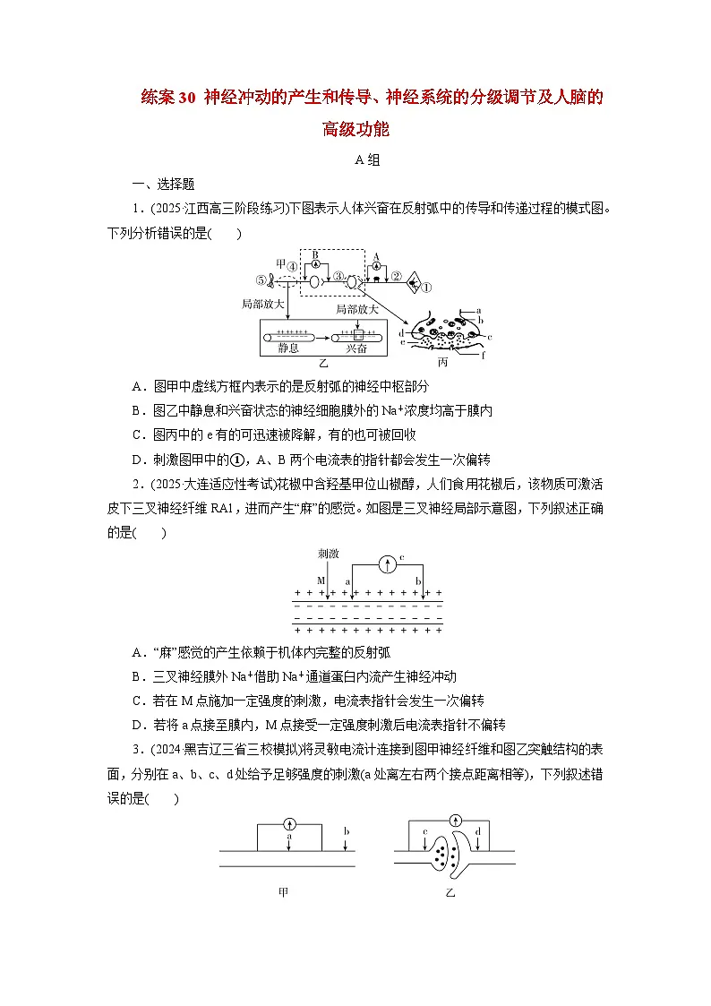 2026届高考生物一轮总复习提能训练练案30神经冲动的产生和传导神经系统的分级调节及人脑的高级功能第1页