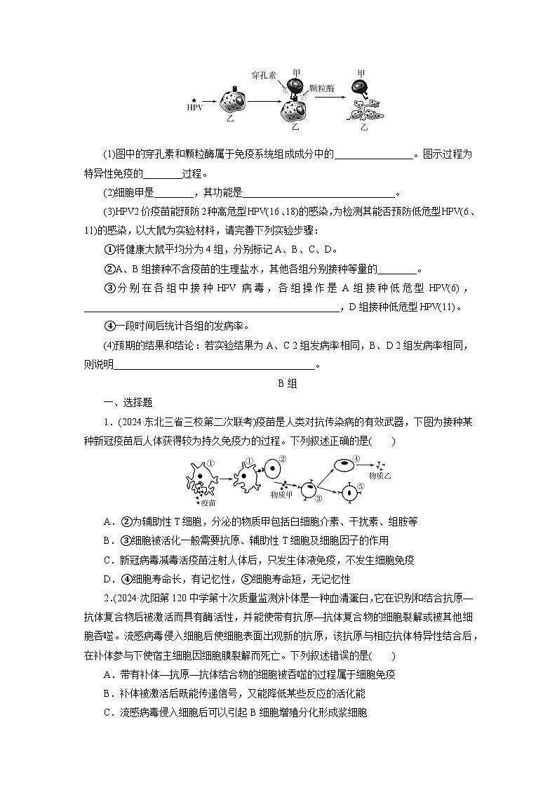 2026届高考生物一轮总复习提能训练练案33免疫调节第3页