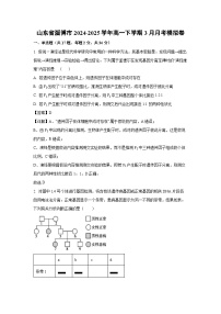 山东省淄博市2024-2025学年高一下学期3月月考模拟卷生物试卷（解析版）