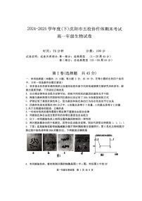 辽宁省沈阳市五校协作体2024-2025学年高一下学期期末考试生物试卷（图片版，有答案）含答案解析