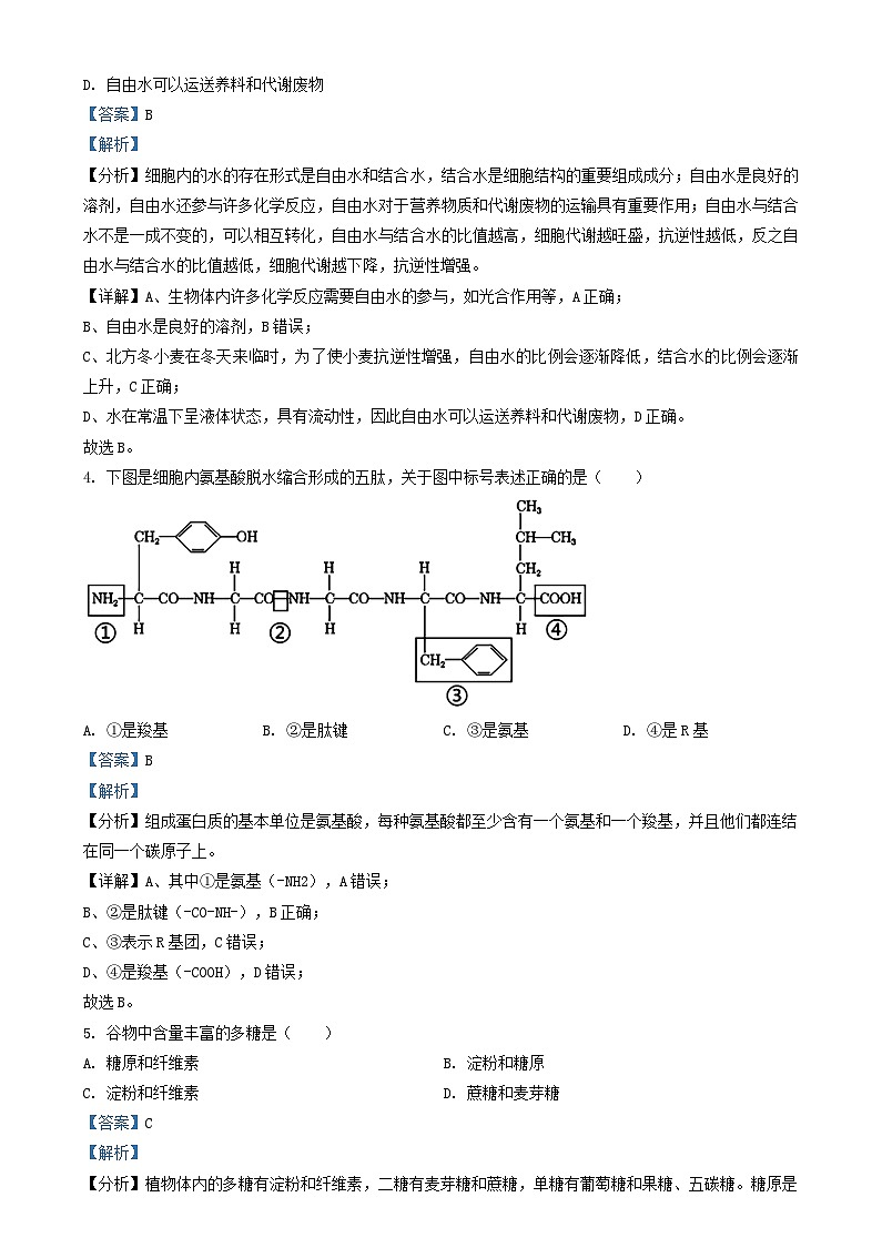 江苏省泰州市2024_2025学年高二生物上学期12月合格性考试模拟测试试题含解析第2页