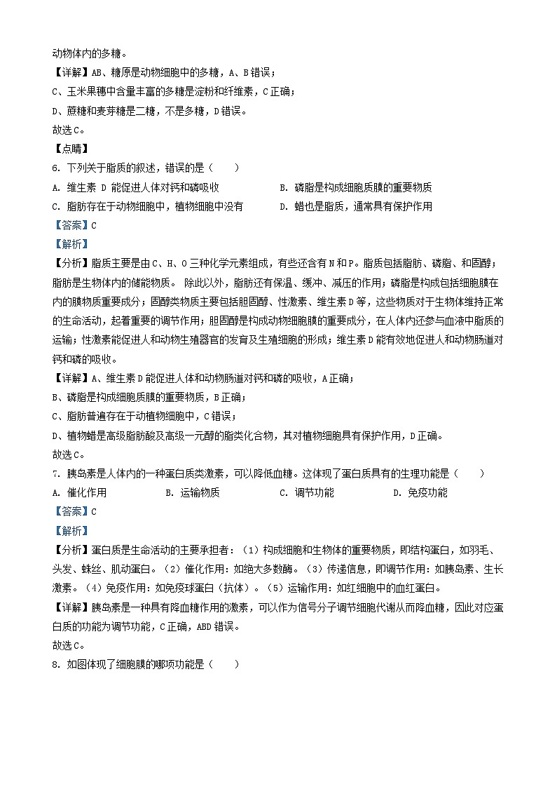 江苏省泰州市2024_2025学年高二生物上学期12月合格性考试模拟测试试题含解析第3页