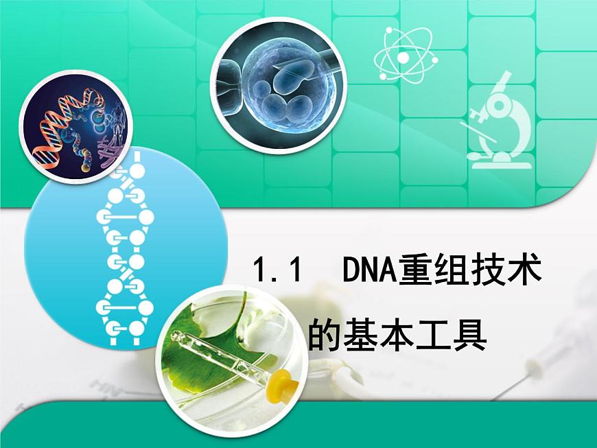 高中生物人教版(新課標(biāo))選修3 專題1 1-1.1《DNA重組技術(shù)的基本工具》復(fù)習(xí)課件第1頁