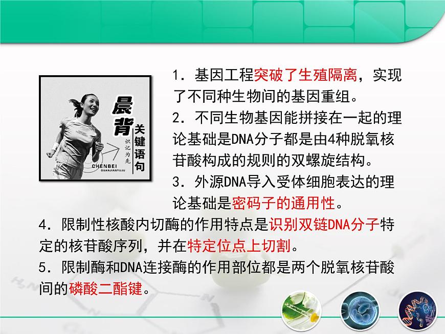高中生物人教版(新課標(biāo))選修3 專題1 1-1.1《DNA重組技術(shù)的基本工具》復(fù)習(xí)課件第3頁