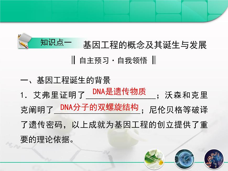高中生物人教版(新課標(biāo))選修3 專題1 1-1.1《DNA重組技術(shù)的基本工具》復(fù)習(xí)課件第4頁