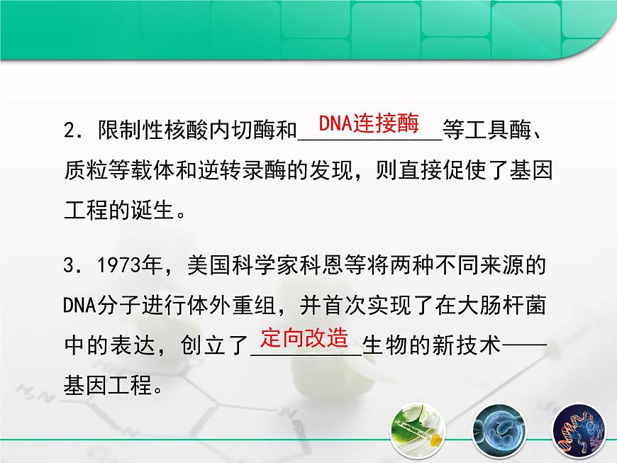 高中生物人教版(新課標(biāo))選修3 專題1 1-1.1《DNA重組技術(shù)的基本工具》復(fù)習(xí)課件第5頁
