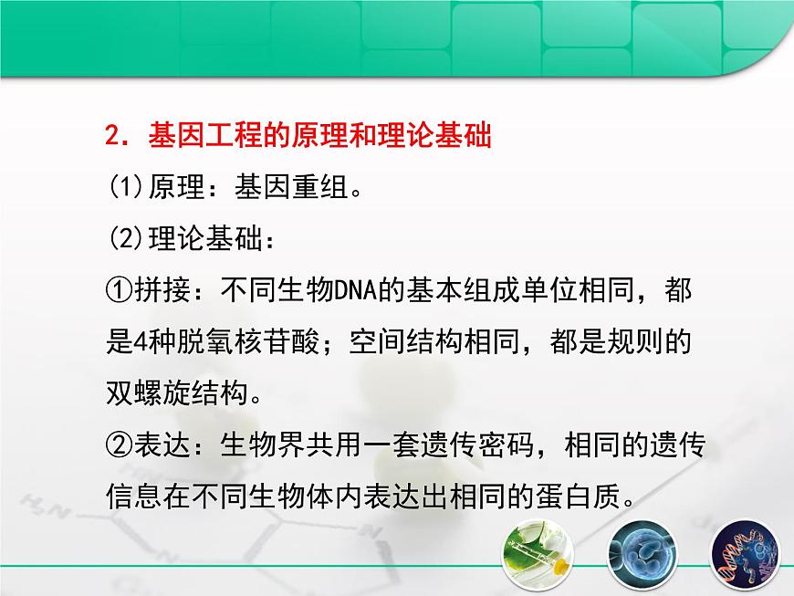 高中生物人教版(新課標(biāo))選修3 專題1 1-1.1《DNA重組技術(shù)的基本工具》復(fù)習(xí)課件第8頁
