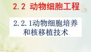 高中生物人教版 (新课标)选修3《现代生物科技专题》动物细胞培养和核移植技术图片课件ppt