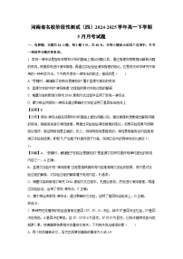 河南省名校阶段性测试（四）2024-2025学年高一下学期5月月考生物试卷（解析版）