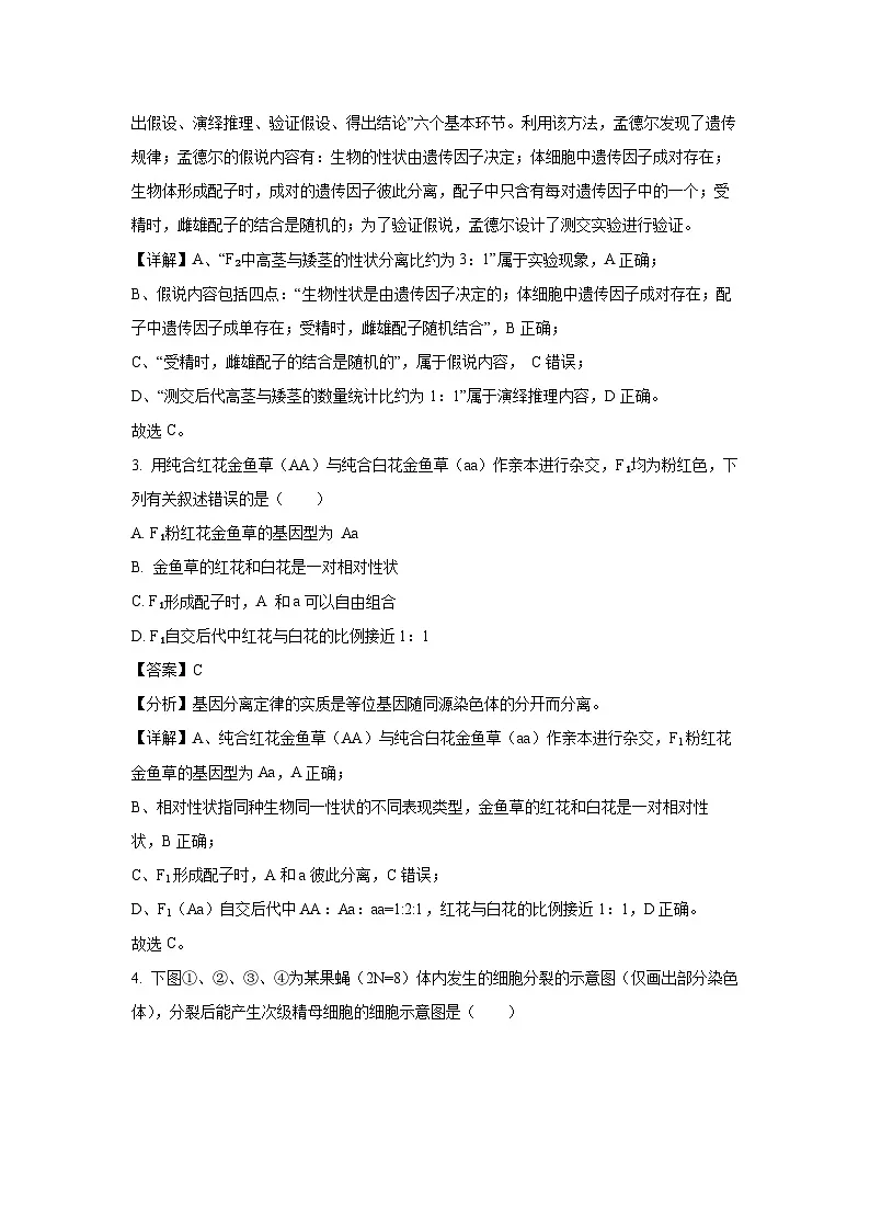 四川省成都市九县区2023-2024学年高一下期期末调研考试生物试卷(解析版)第2页