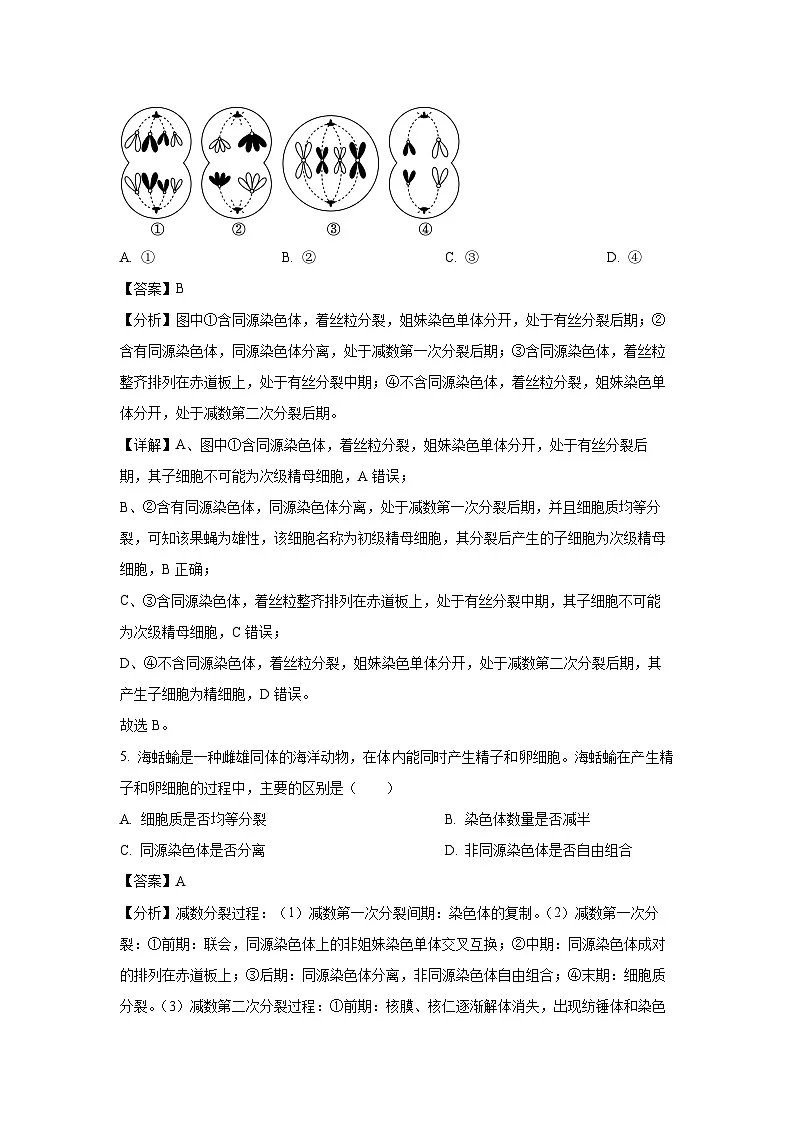 四川省成都市九县区2023-2024学年高一下期期末调研考试生物试卷(解析版)第3页