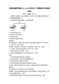 甘肃省张掖市某校2024-2025学年高一下学期期中考试（选考）生物试卷（解析版）