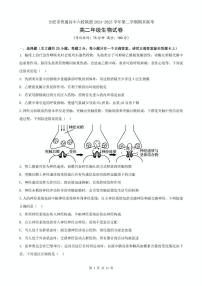 安徽省合肥市普通高中六校联盟2024-2025学年高二下学期期末考试生物试卷（PDF版附答案）