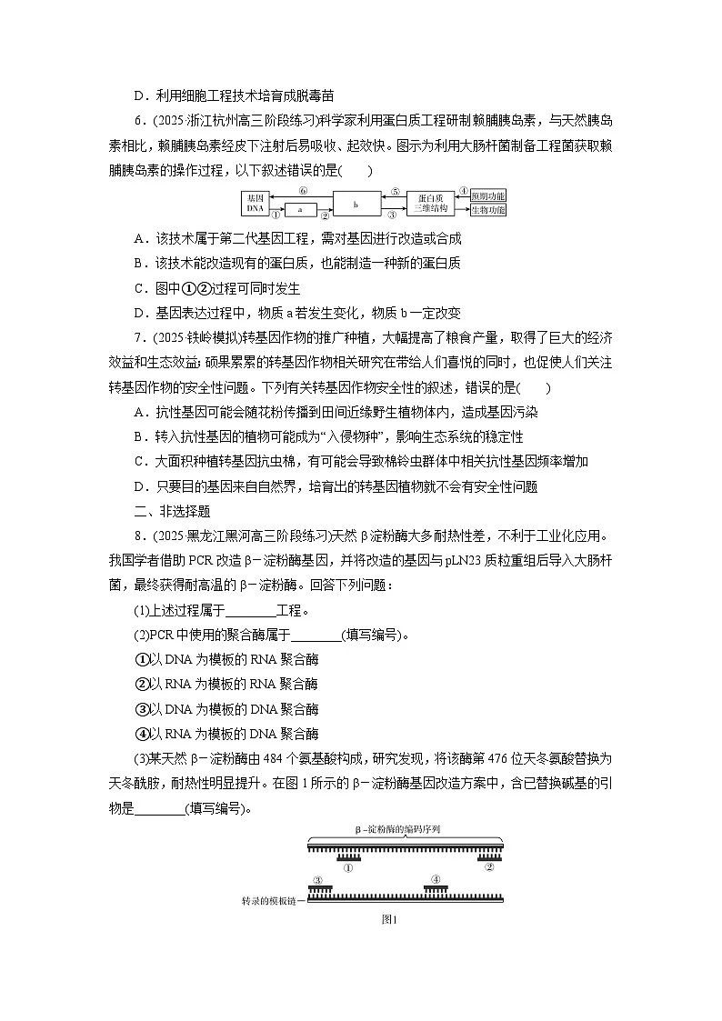 2026届高考生物一轮总复习提能训练练案46基因工程的基本工具和基本操作程序第2页