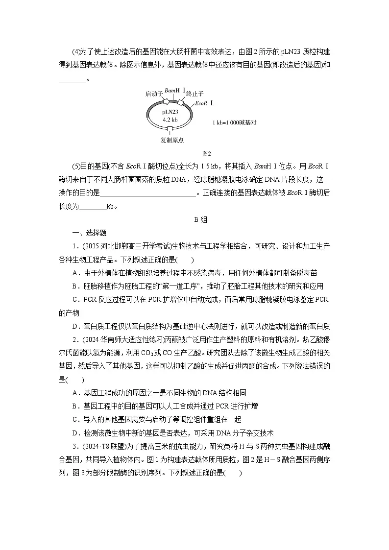 2026届高考生物一轮总复习提能训练练案46基因工程的基本工具和基本操作程序第3页