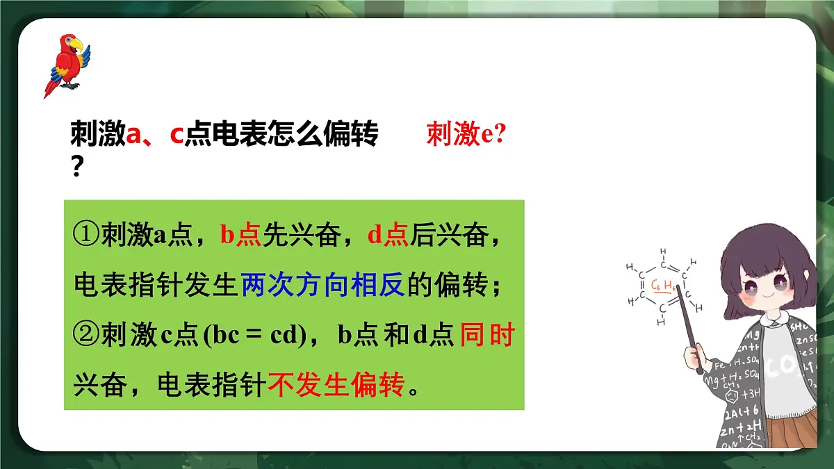 人教版(2019)高中生物选择性必修一微专题01兴奋的传导和传递的相关实验分析与探究 课件第5页