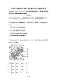2025年6月北京普通高中学业水平选择性考试生物试题（原卷）含答案