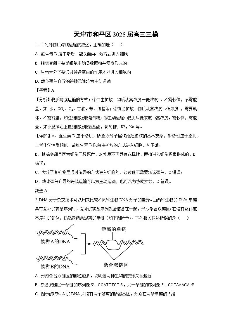 天津市和平區(qū)2025屆高三三模[高考模擬]生物試卷（解析版）第1頁