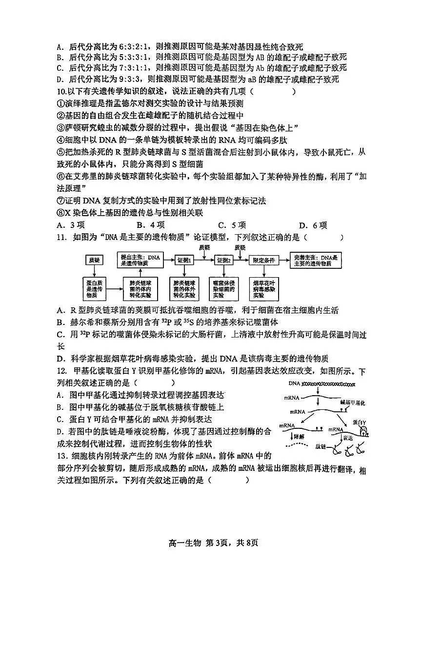 河北省石家庄市第二中学2024-2025学年高一下学期期末考试生物试卷(图片版,有答案)第3页