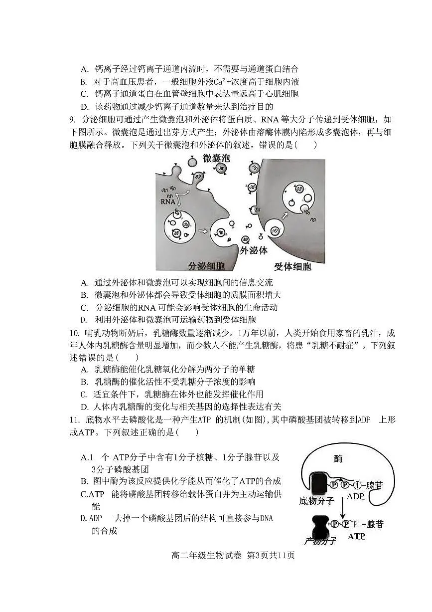 辽宁省沈阳市五校协作体2024-2025学年高二下学期期末生物试卷(PDF版,含答案)第3页
