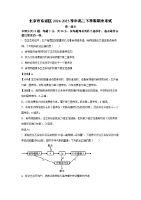 北京市东城区2024-2025学年高二下学期期末考试生物试卷（解析版）