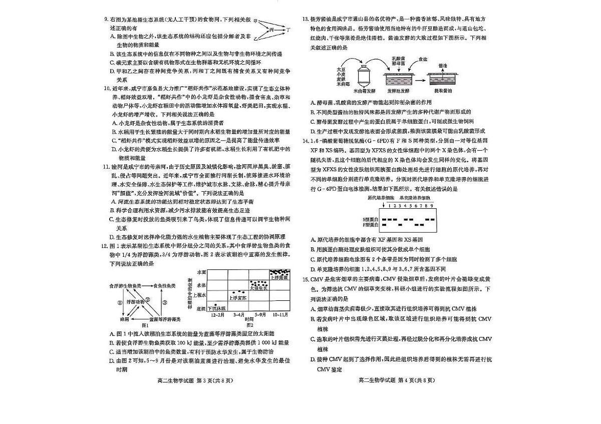 湖北省咸宁市2024-2025学年高二下学期期末考试生物试卷(图片版,有答案)第2页